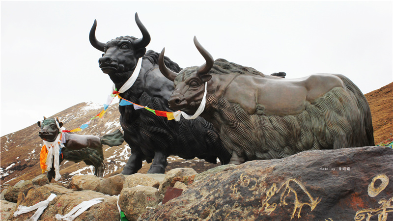 銀川伊百盛生物工程有限公司 銀川伊百盛生物工程有限公司